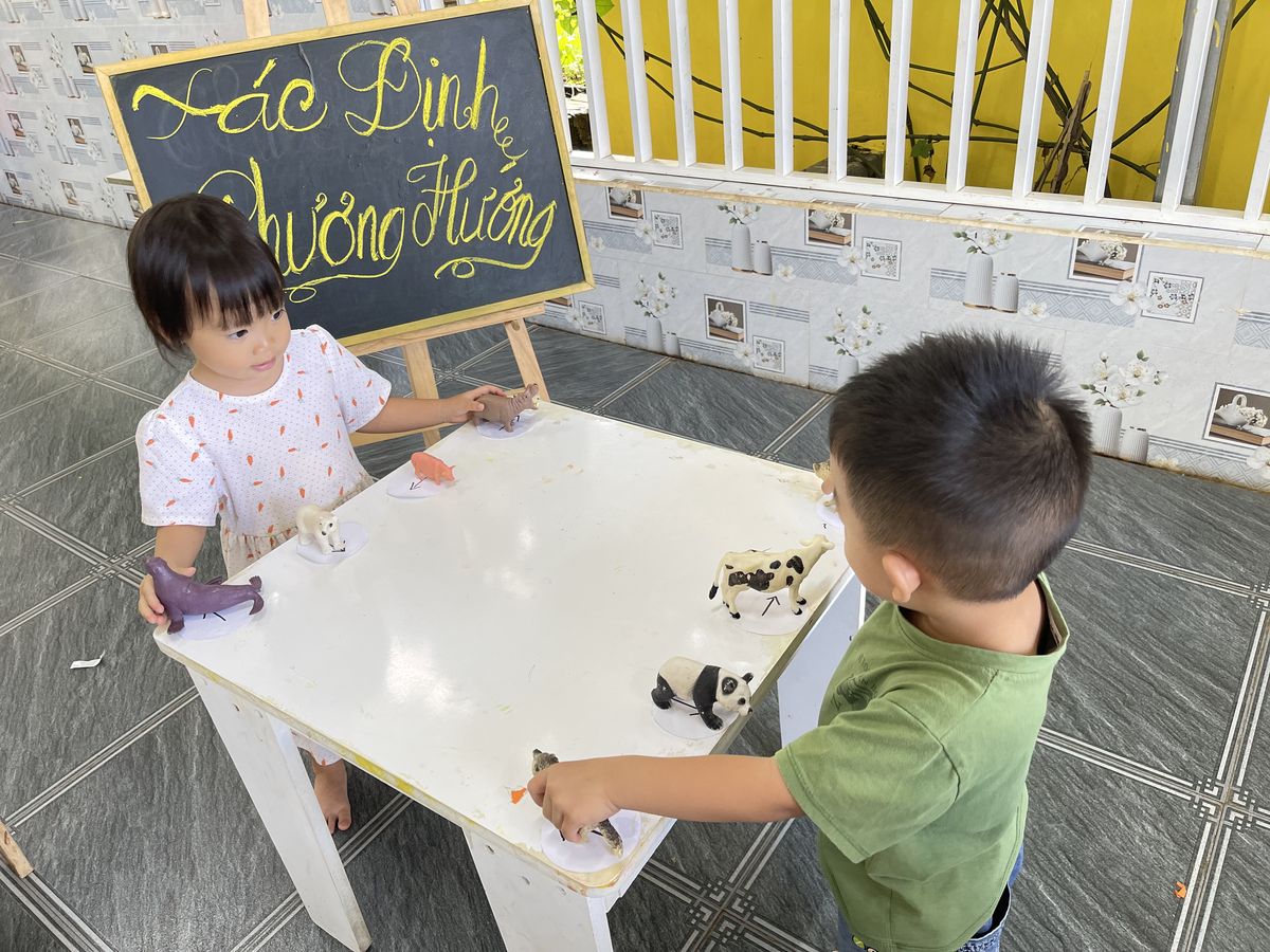 Ảnh hoạt động