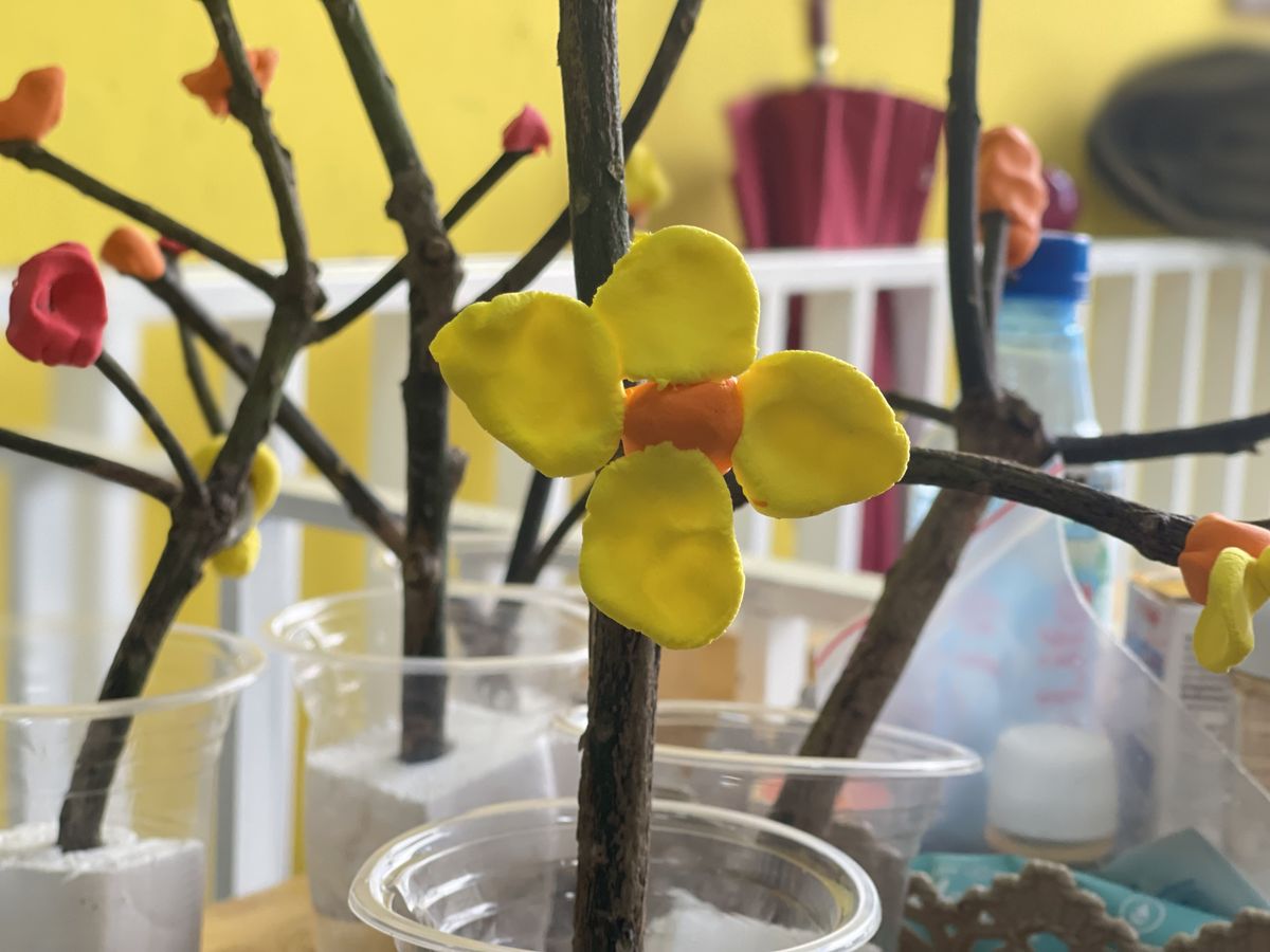 Ảnh hoạt động