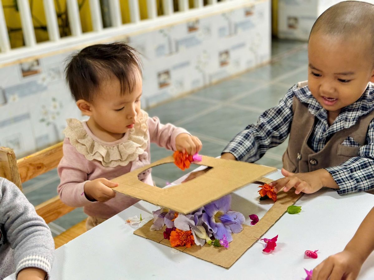 Ảnh hoạt động