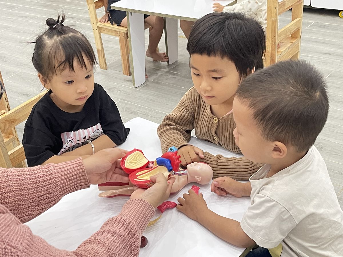 Ảnh hoạt động