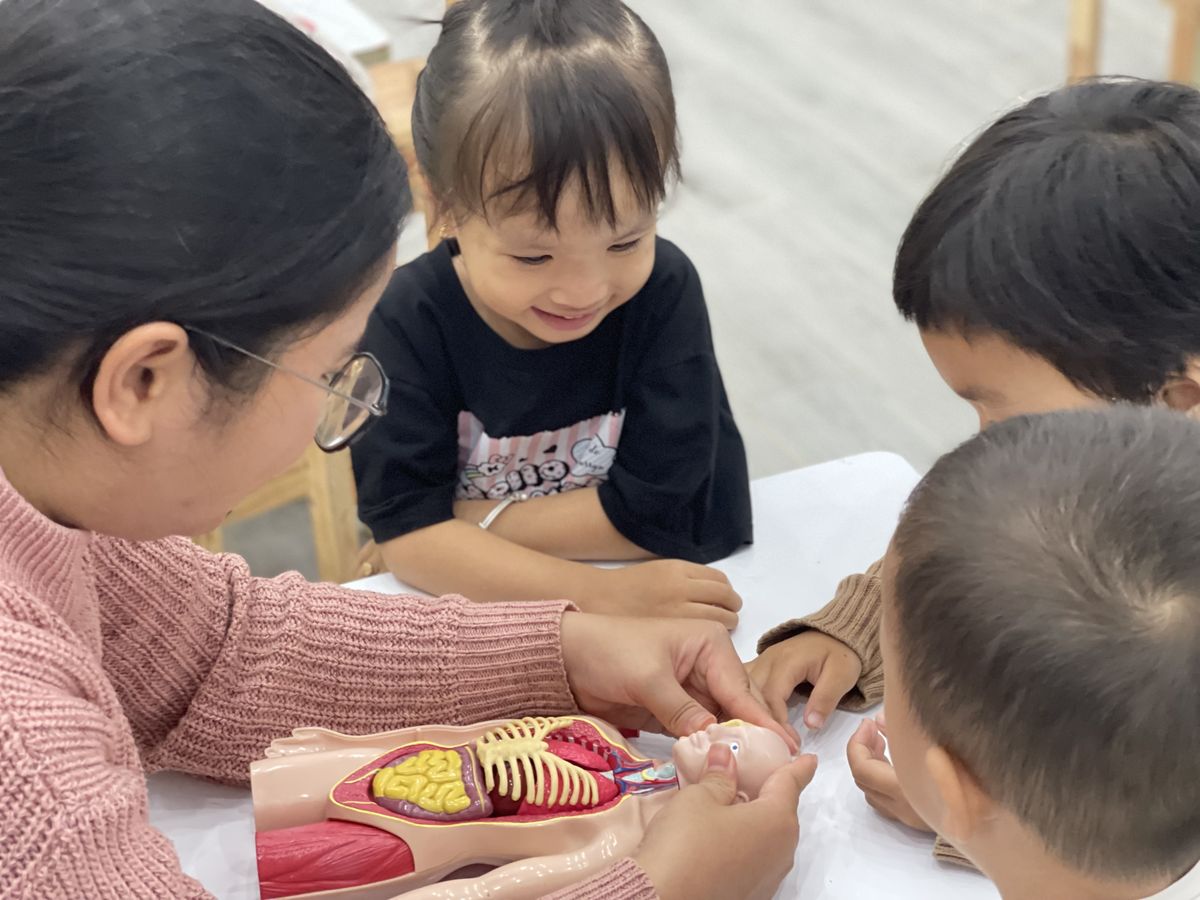 Ảnh hoạt động