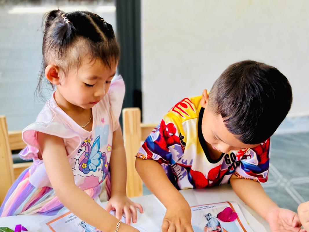 Ảnh hoạt động