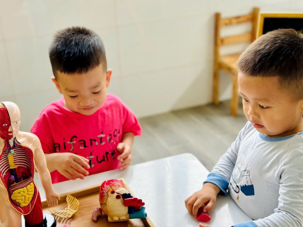 Ảnh hoạt động