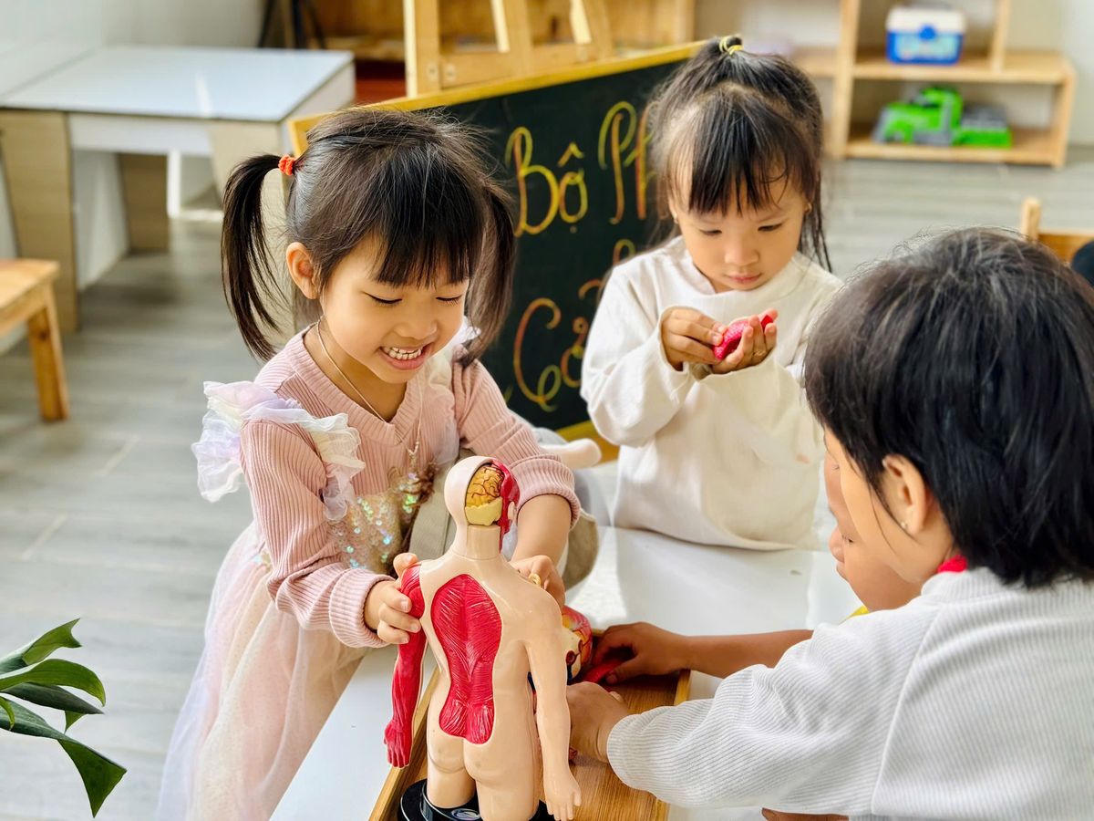 Ảnh hoạt động