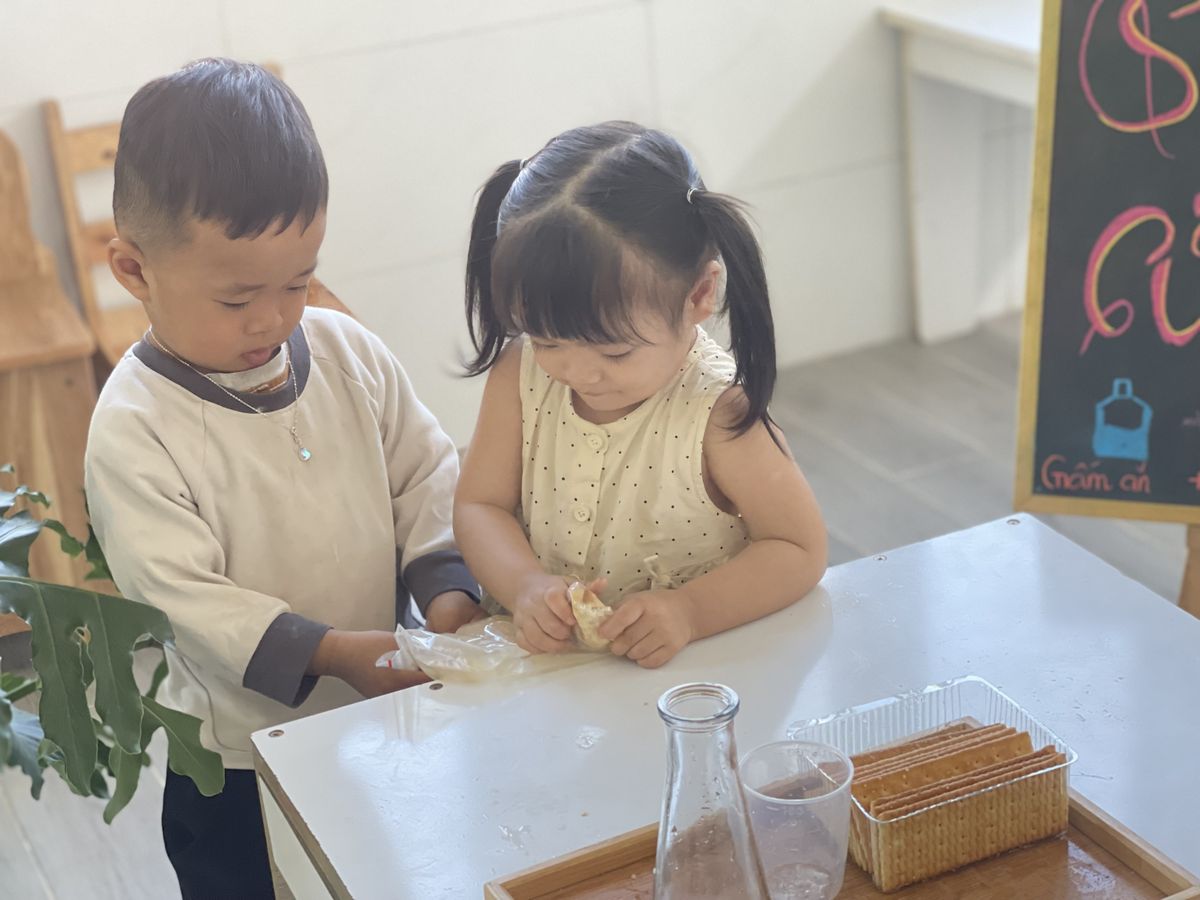 Ảnh hoạt động