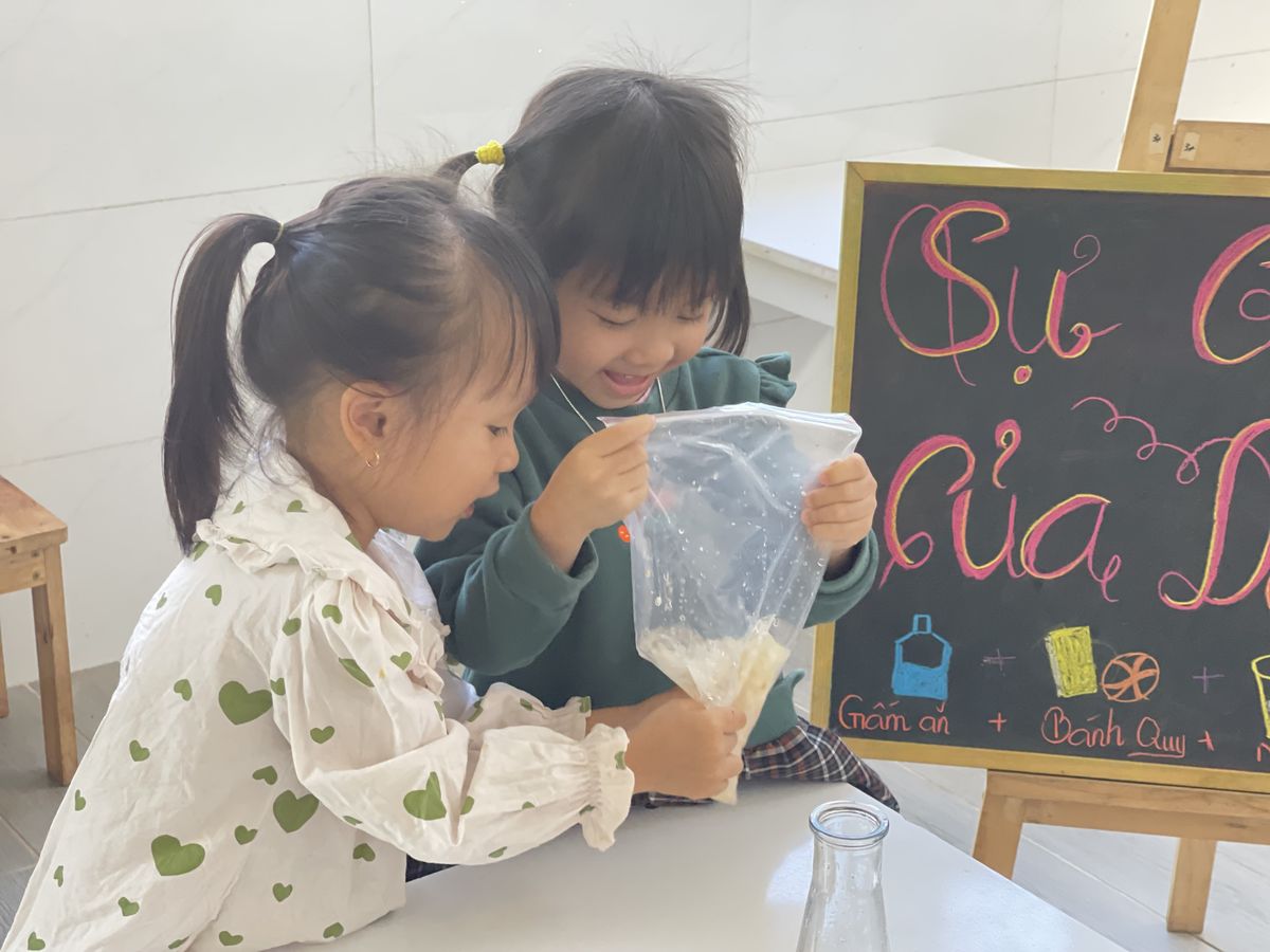 Ảnh hoạt động