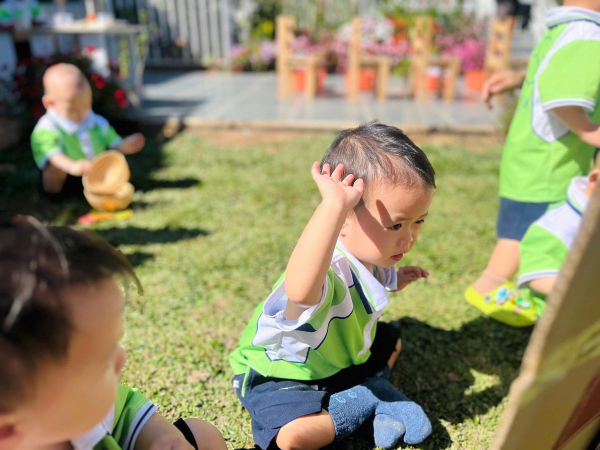 Ảnh hoạt động