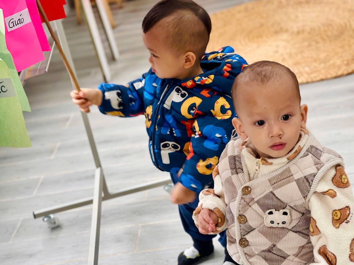 Ảnh hoạt động