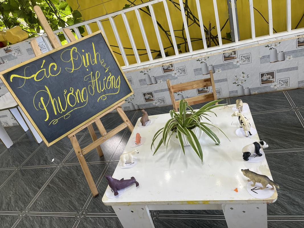 Ảnh hoạt động