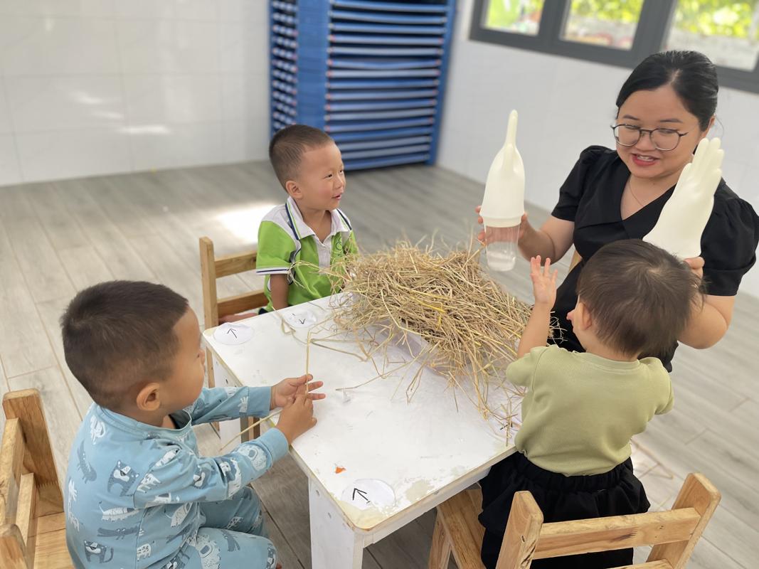 Ảnh hoạt động