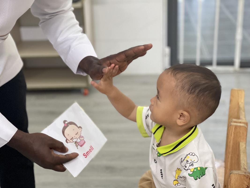 Ảnh hoạt động