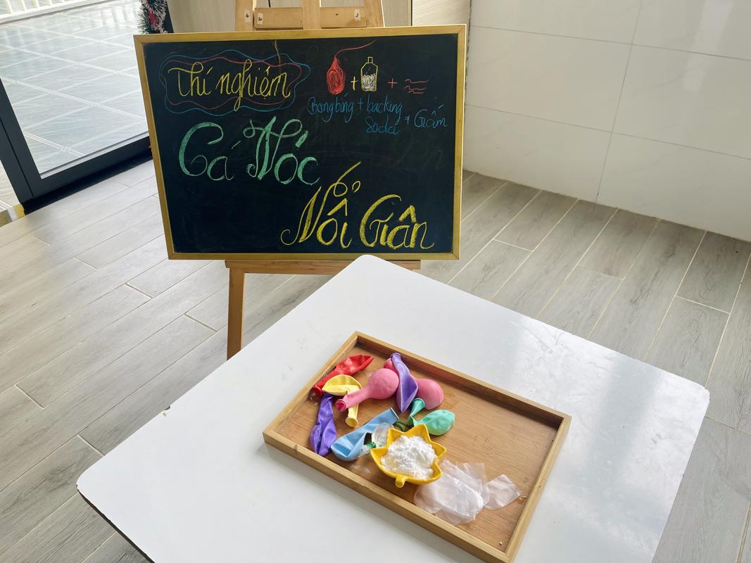 Ảnh hoạt động