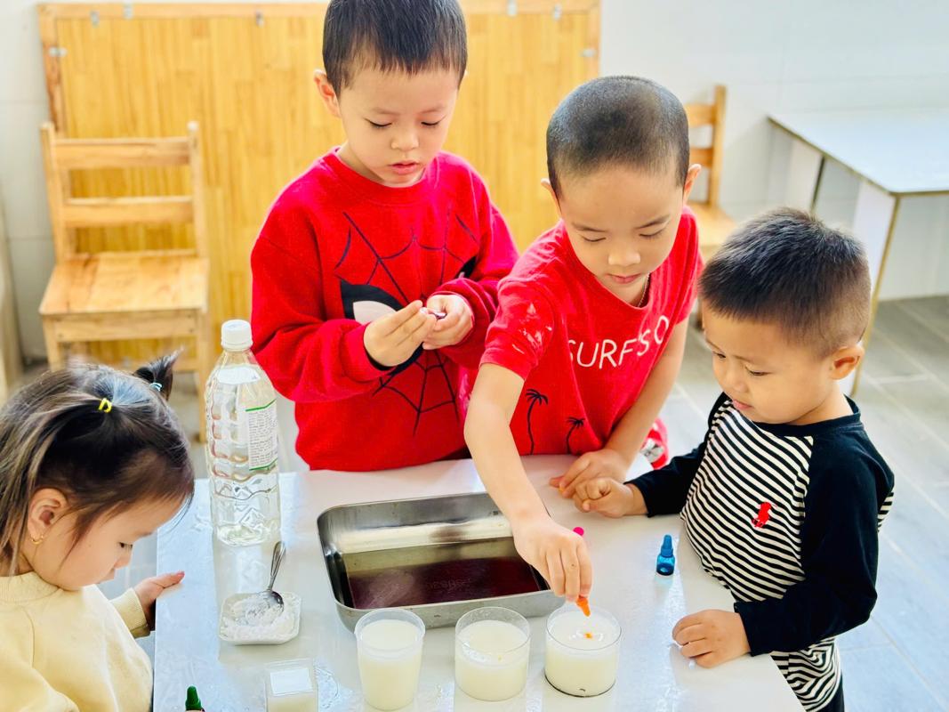 Ảnh hoạt động