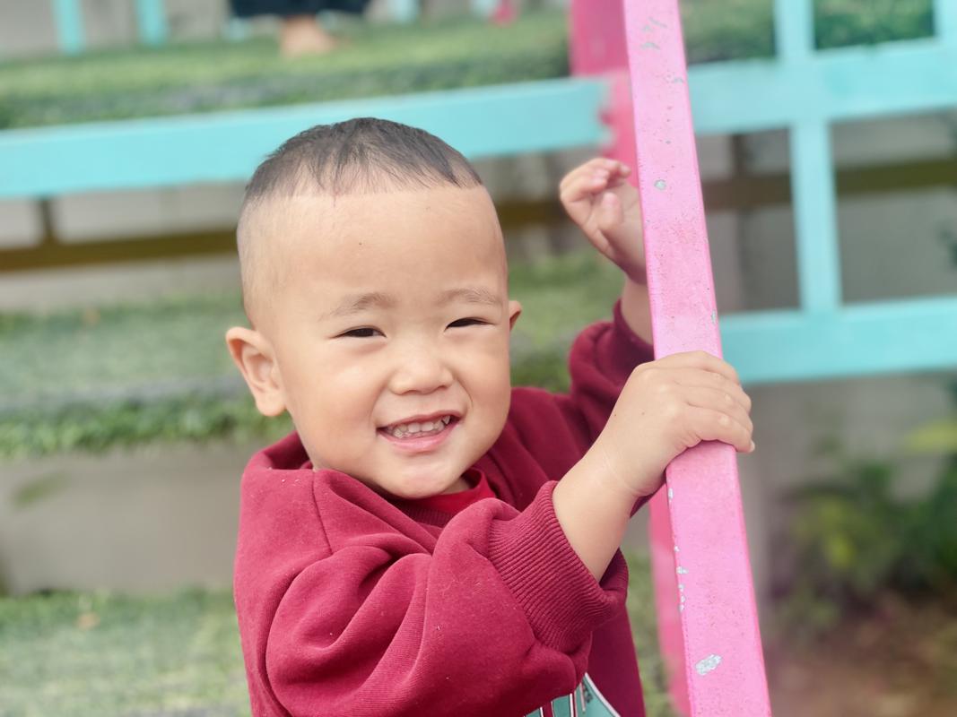 Ảnh hoạt động