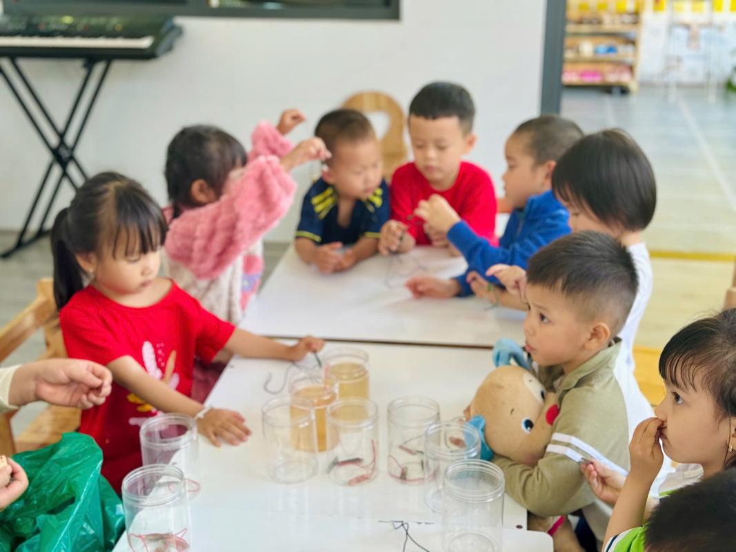 Ảnh hoạt động