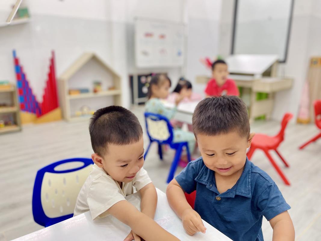 Ảnh hoạt động