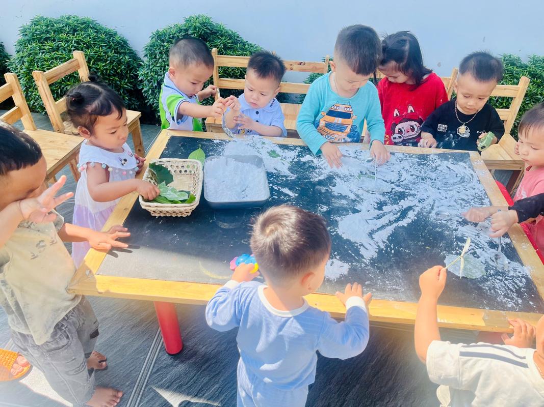 Ảnh hoạt động