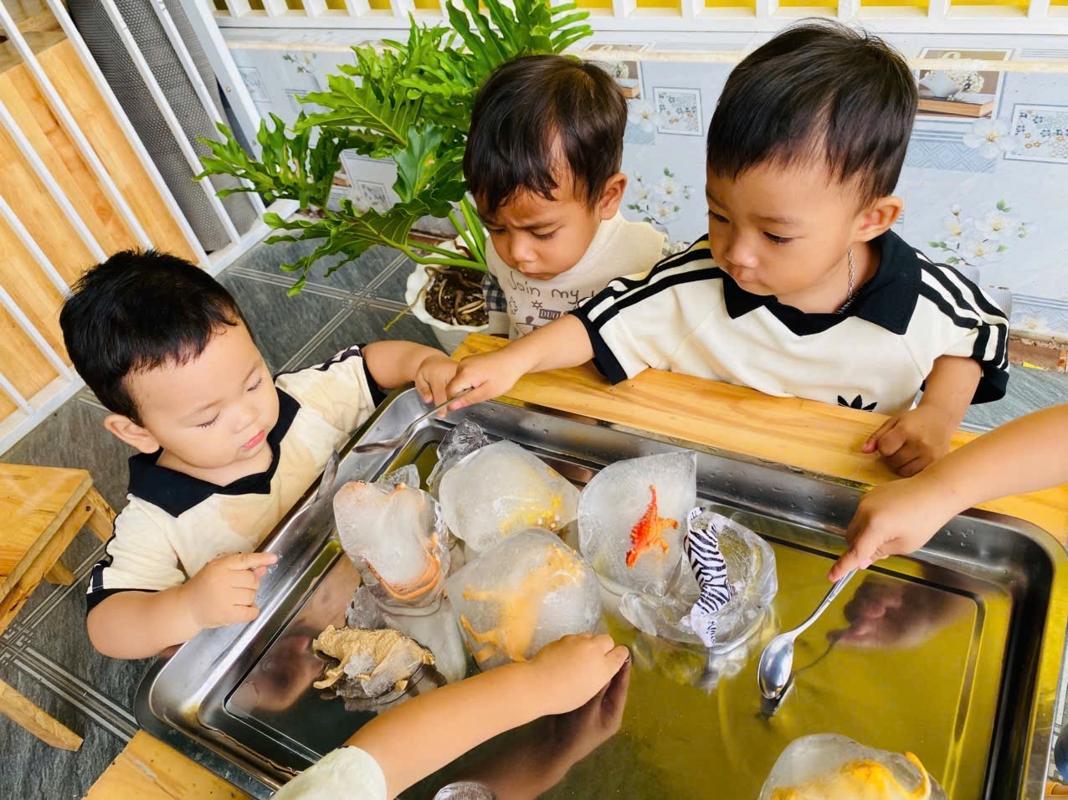 Ảnh hoạt động