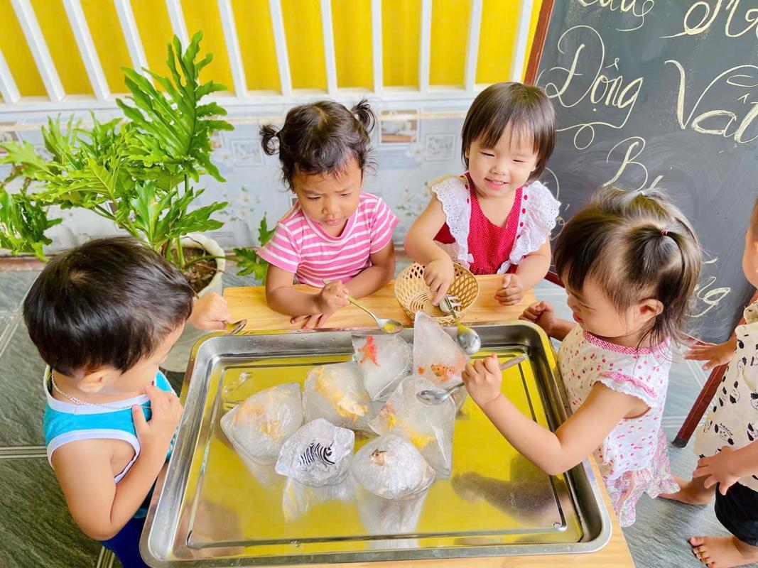 Ảnh hoạt động