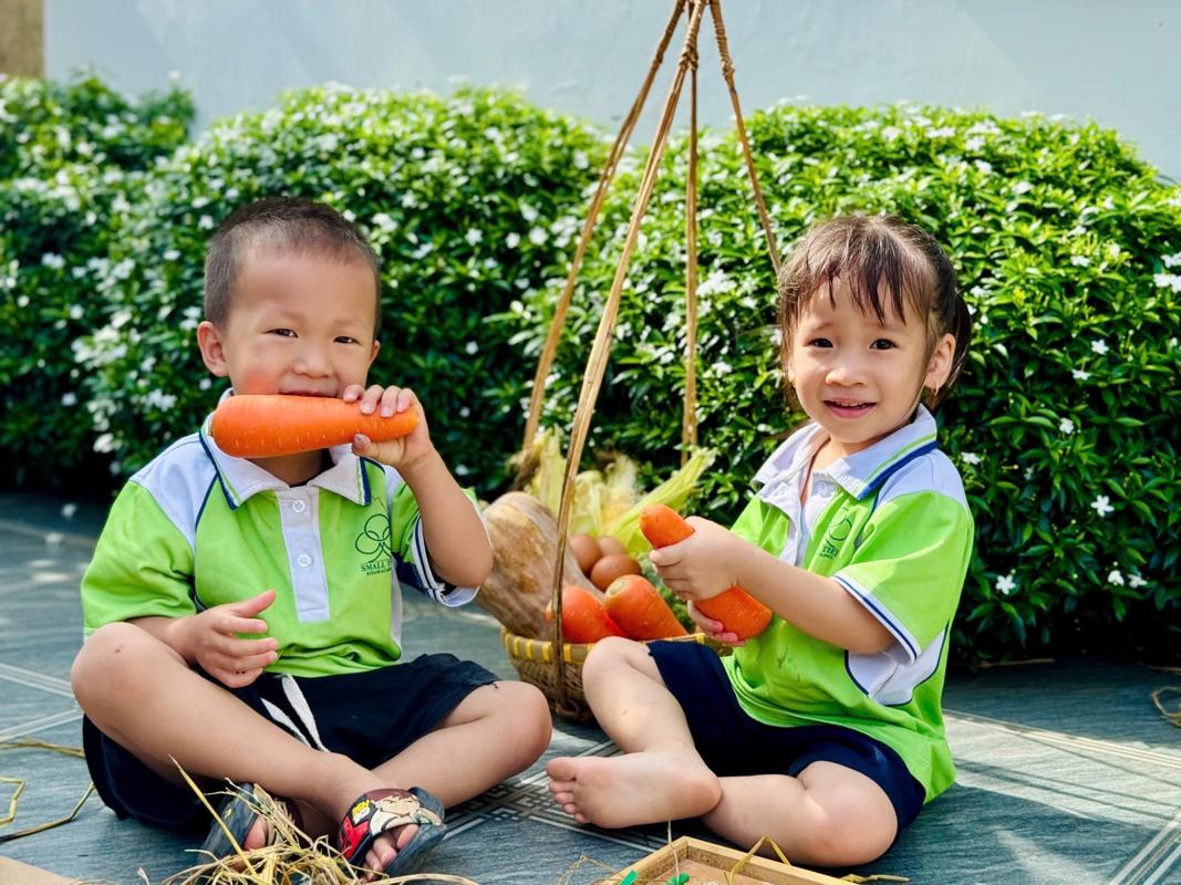 Ảnh hoạt động