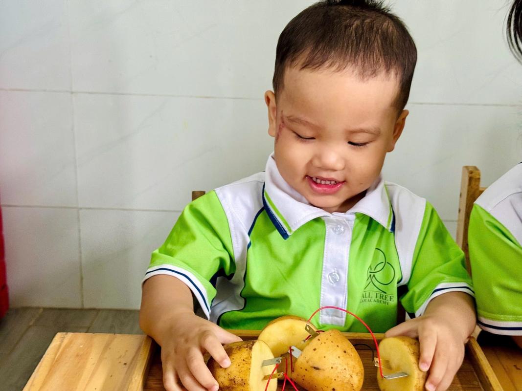 Ảnh hoạt động